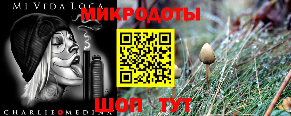 Псилоцибиновые грибы MAGIC MUSHROOMS Екатеринбург