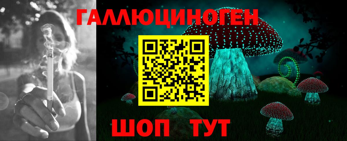 Екатеринбург  Псилоцибиновые грибы MAGIC MUSHROOMS  Вход с VPN 